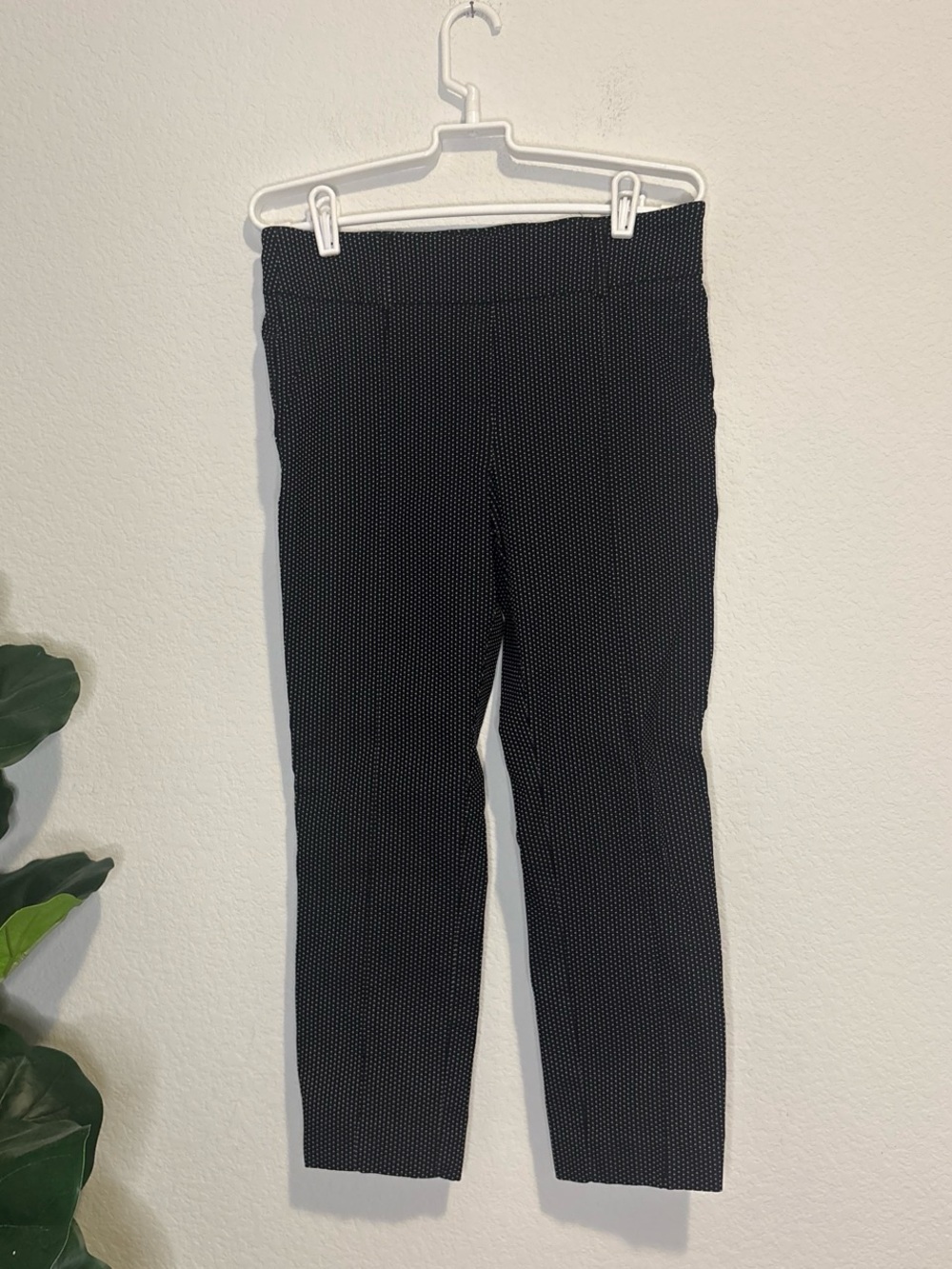 Jules & Leopold Black Capri Pants with White Dot Detail